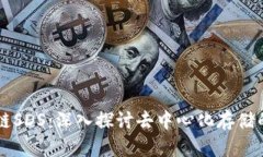 区块链SDS：深入探讨去中