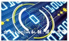 如何安全导出Tokenim私钥：