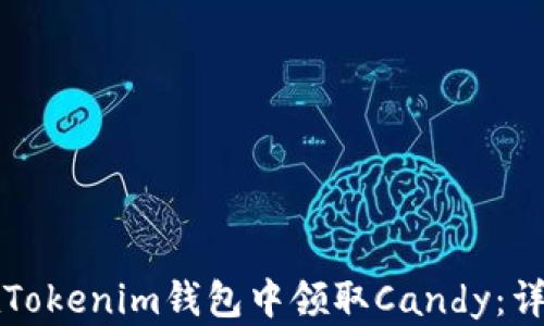 
如何在Tokenim钱包中领取Candy：详细指南