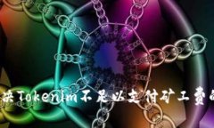 如何解决Tokenim不足以支付