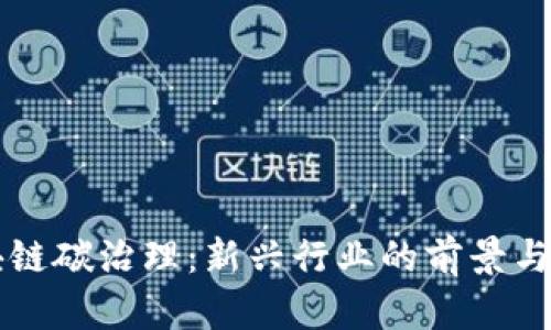 区块链碳治理：新兴行业的前景与挑战