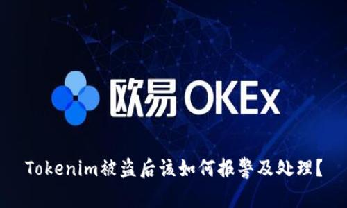 Tokenim被盗后该如何报警及处理？